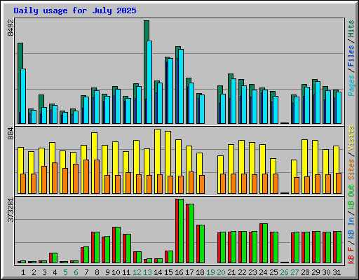 Daily usage for July 2025