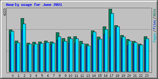Hourly usage for June 2021