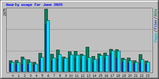 Hourly usage for June 2025