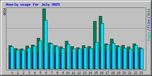 Hourly usage for July 2025