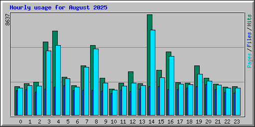 Hourly usage for August 2025