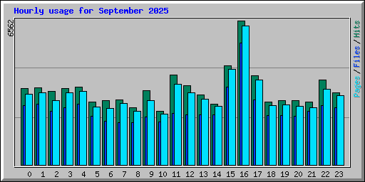 Hourly usage for September 2025