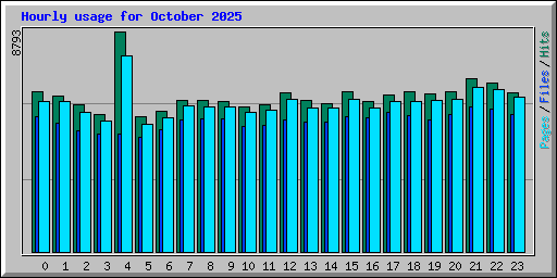 Hourly usage for October 2025
