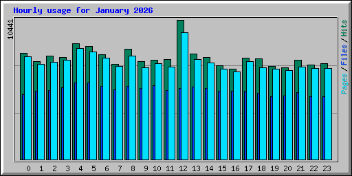 Hourly usage for January 2026