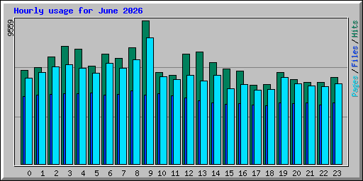 Hourly usage for June 2026