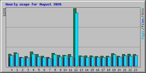 Hourly usage for August 2026